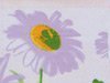 Шторки RAMASKA Lilac