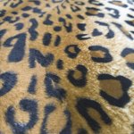 Коврик АФРИКА леопард 100х150- фото2
